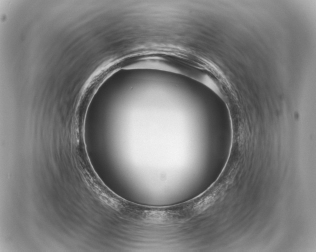 X0000087741172200705141217