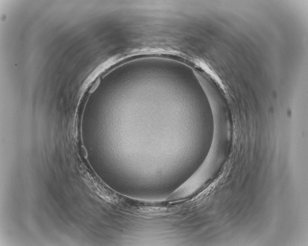 X0000087741173200705141217