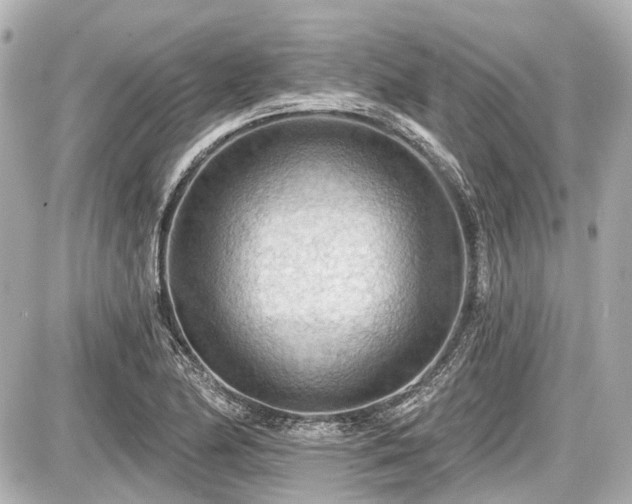 X0000087741174200705141217