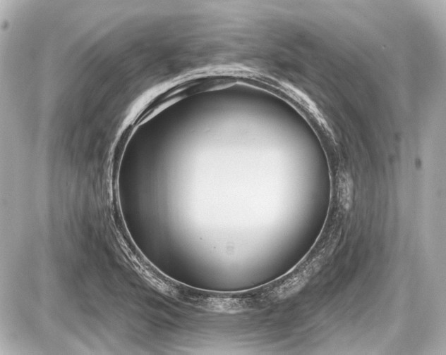 X0000087741176200705141217