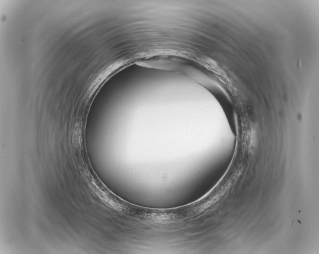 X0000087741177200705141217