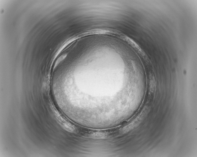 X0000087741178200705141217