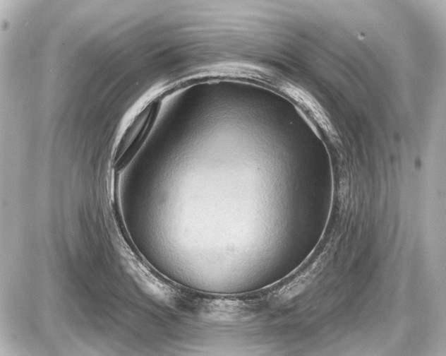 X0000087741180200705141217