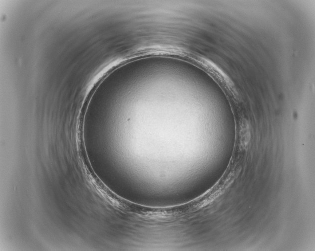 X0000087741182200705141217