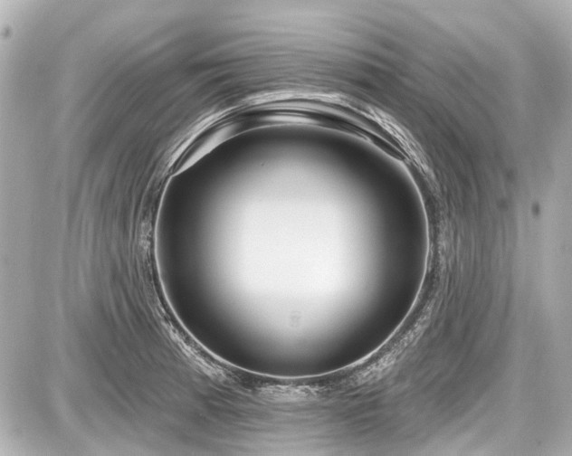 X0000087741185200705141217