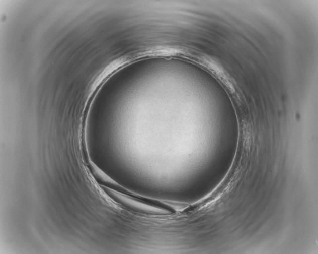X0000087741186200705141217