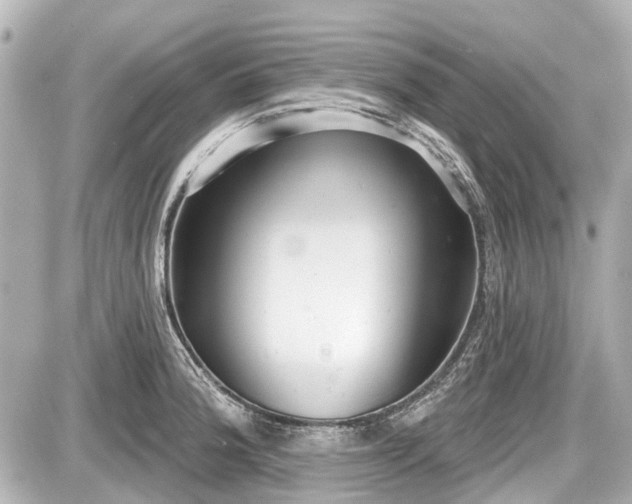 X0000087741188200705141217