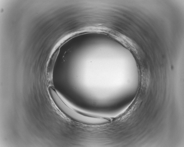 X0000087741192200705141217