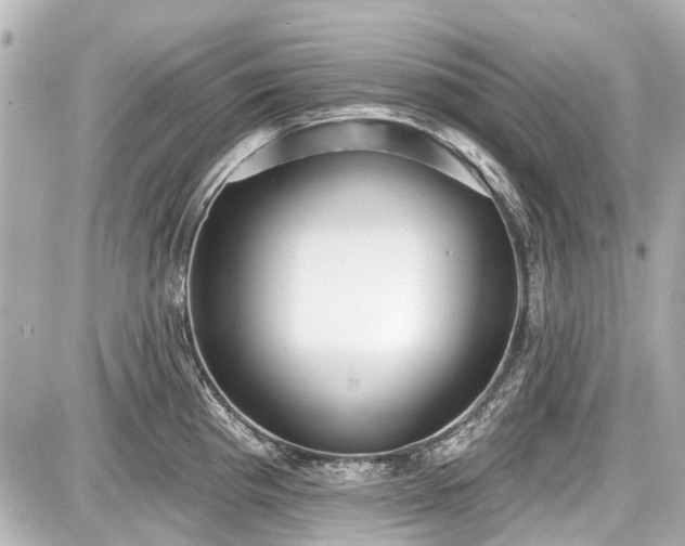 X0000087741193200705141217
