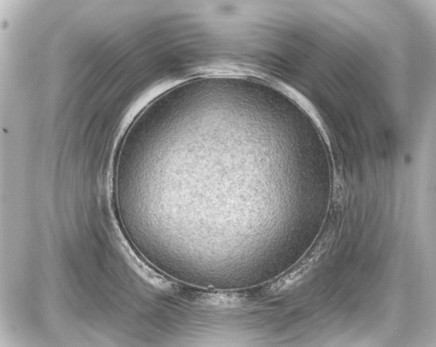 X0000087741195200705141217