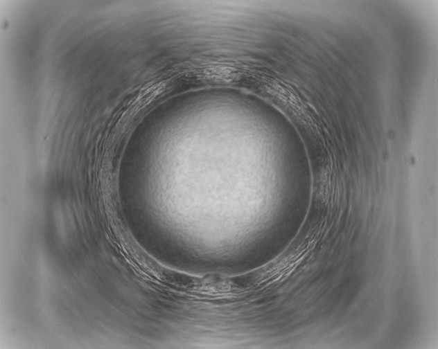 X0000087741201200705141216