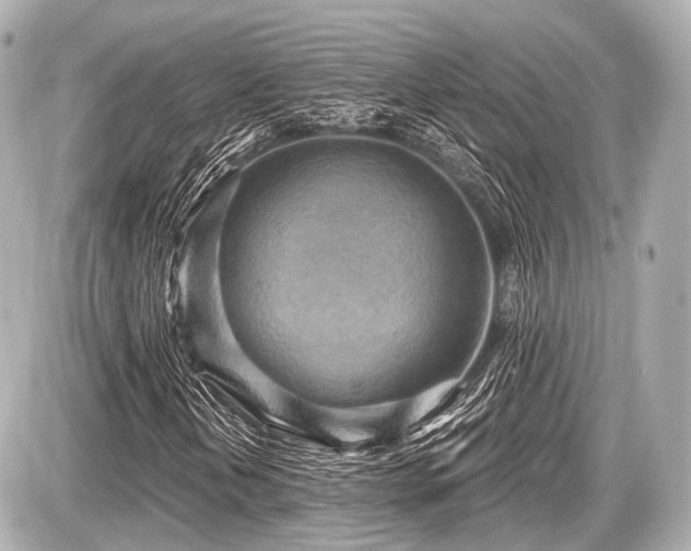 X0000087741202200705141216