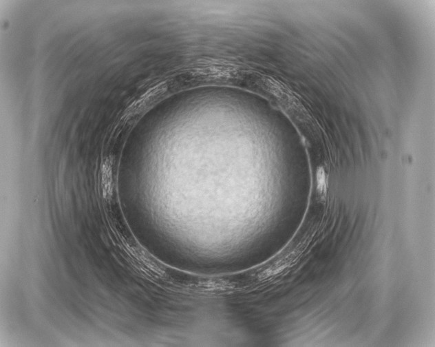 X0000087741203200705141216