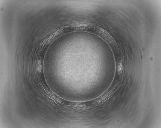 X0000087741204200705141216