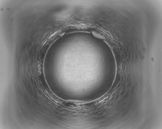 X0000087741205200705141216