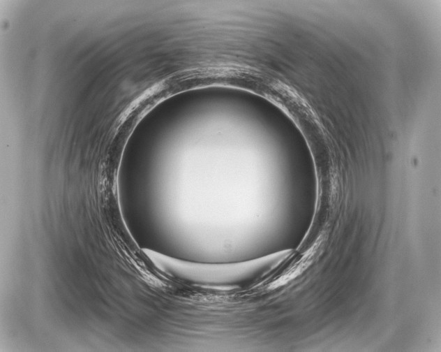 X0000087741210200705141216