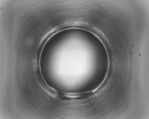 X0000087741218200705141216