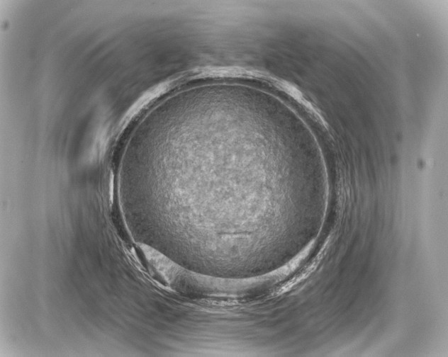 X0000087741221200705141216