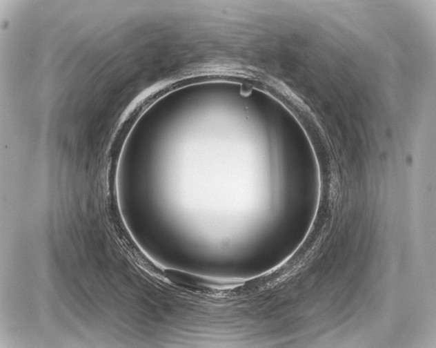X0000087741222200705141216