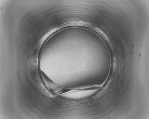 X0000087741226200705141217