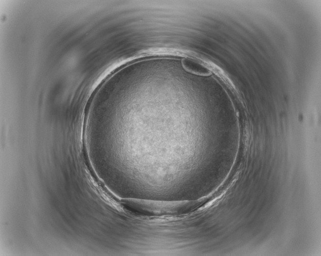 X0000087741228200705141217