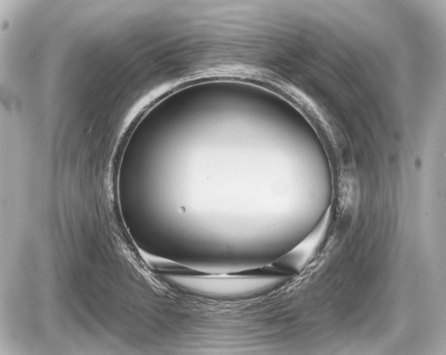 X0000087741230200705141217