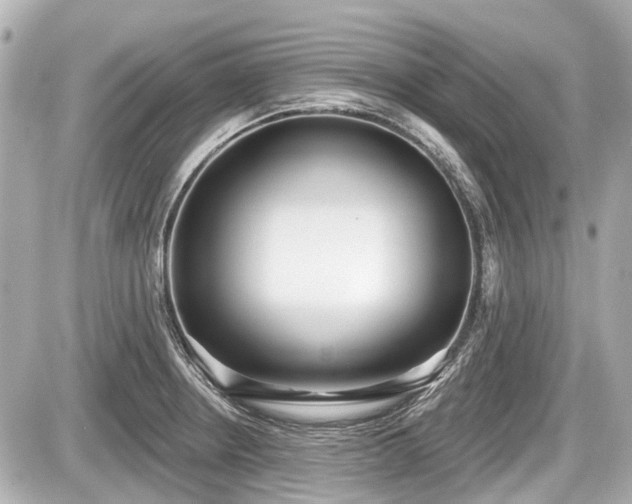 X0000087741234200705141217