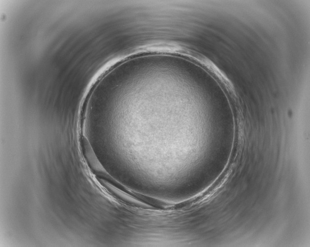 X0000087741240200705141217