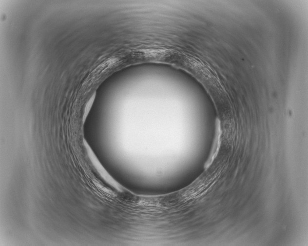X0000087741249200705141216