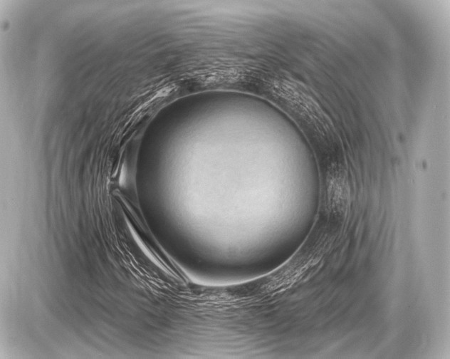 X0000087741250200705141216