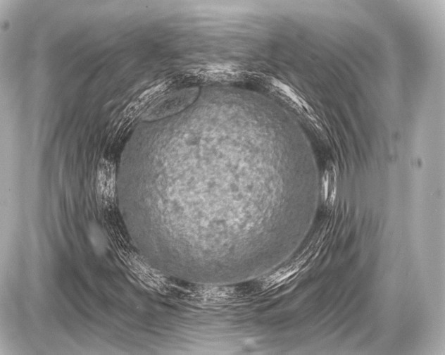 X0000087741251200705141216