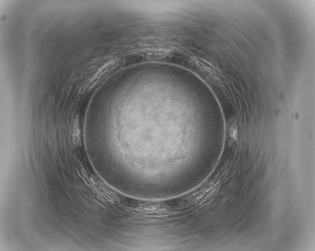 X0000087741252200705141216