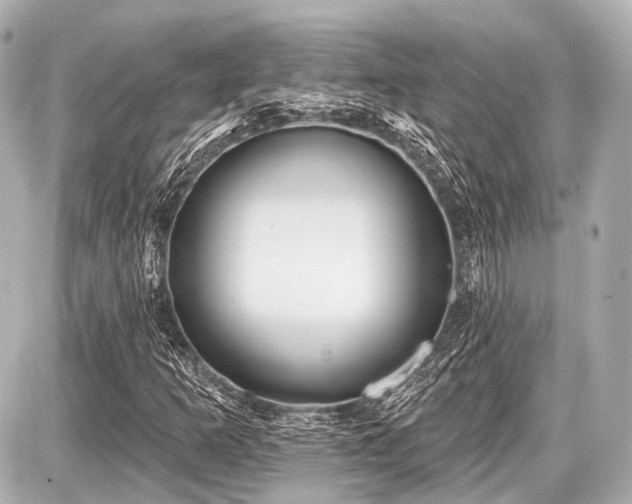 X0000087741253200705141216