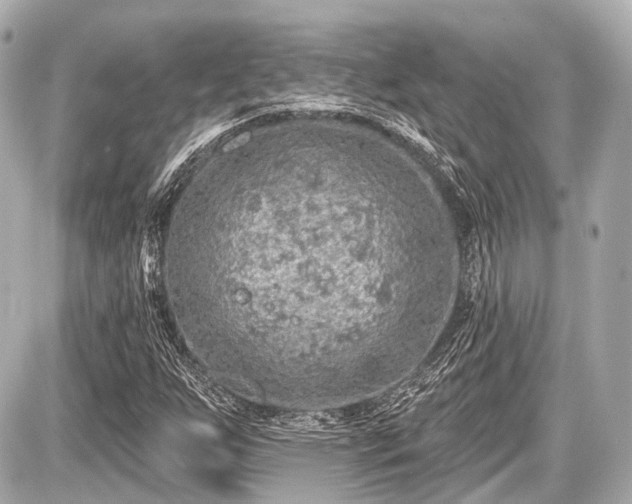 X0000087741255200705141216