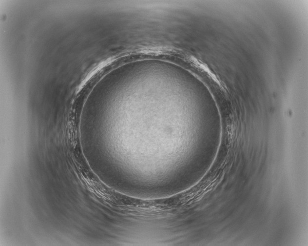 X0000087741256200705141216
