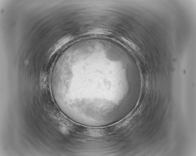 X0000087741258200705141216