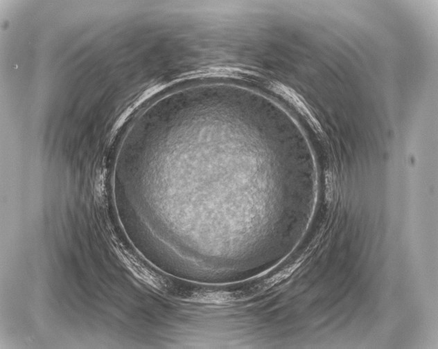 X0000087741260200705141216