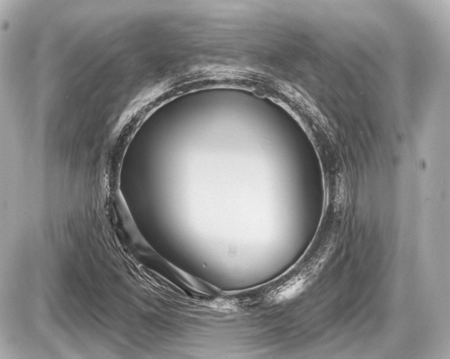 X0000087741261200705141216