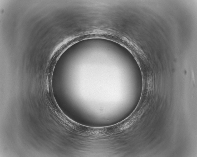 X0000087741262200705141216