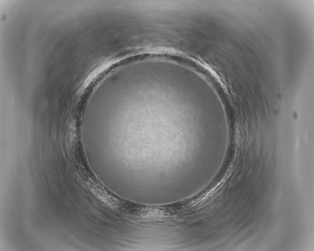 X0000087741263200705141216