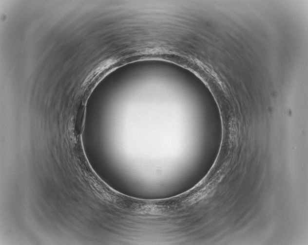 X0000087741265200705141216