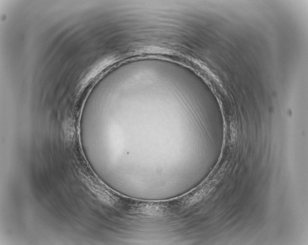 X0000087741266200705141216