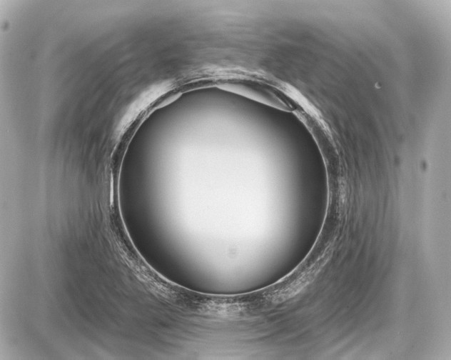 X0000087741269200705141216