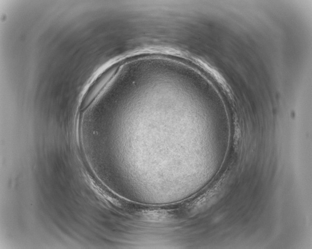 X0000087741272200705141216
