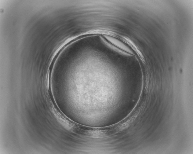 X0000087741276200705141216