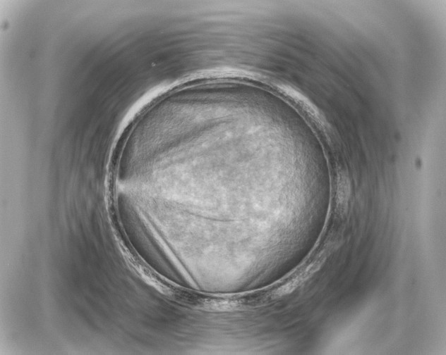 X0000087741278200705141216