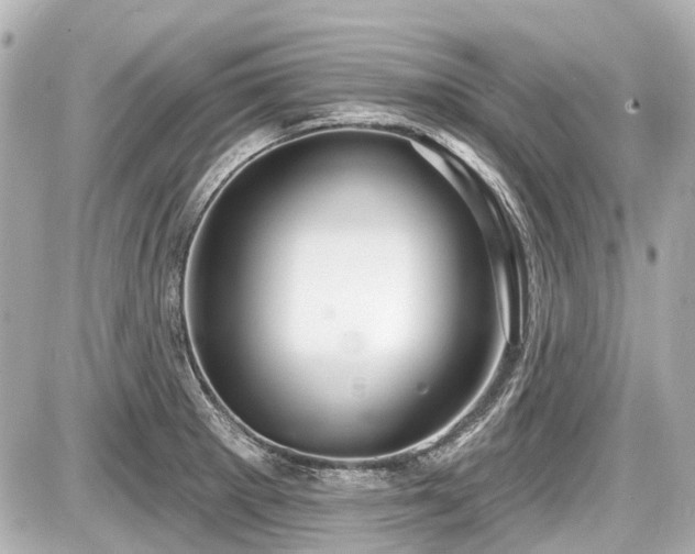 X0000087741281200705141216