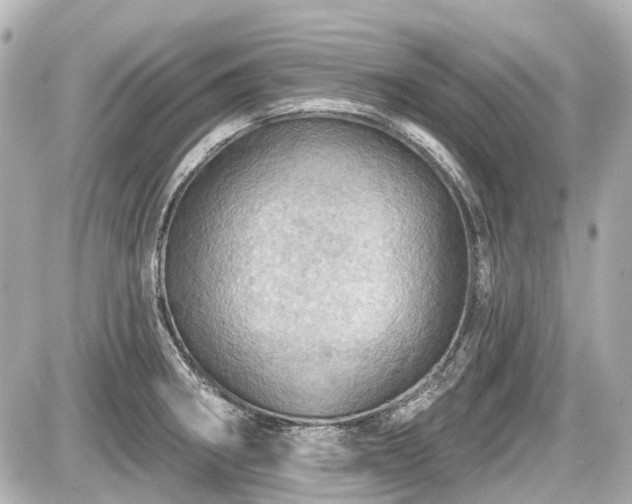 X0000087741282200705141216
