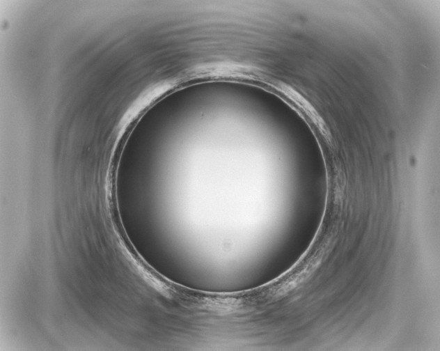X0000087741285200705141216