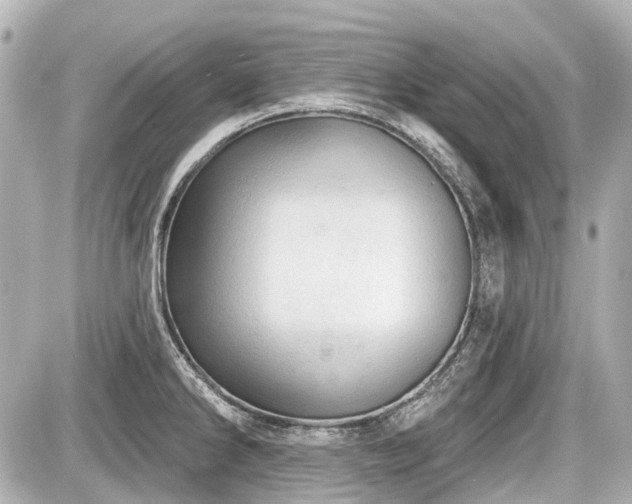 X0000087741286200705141216